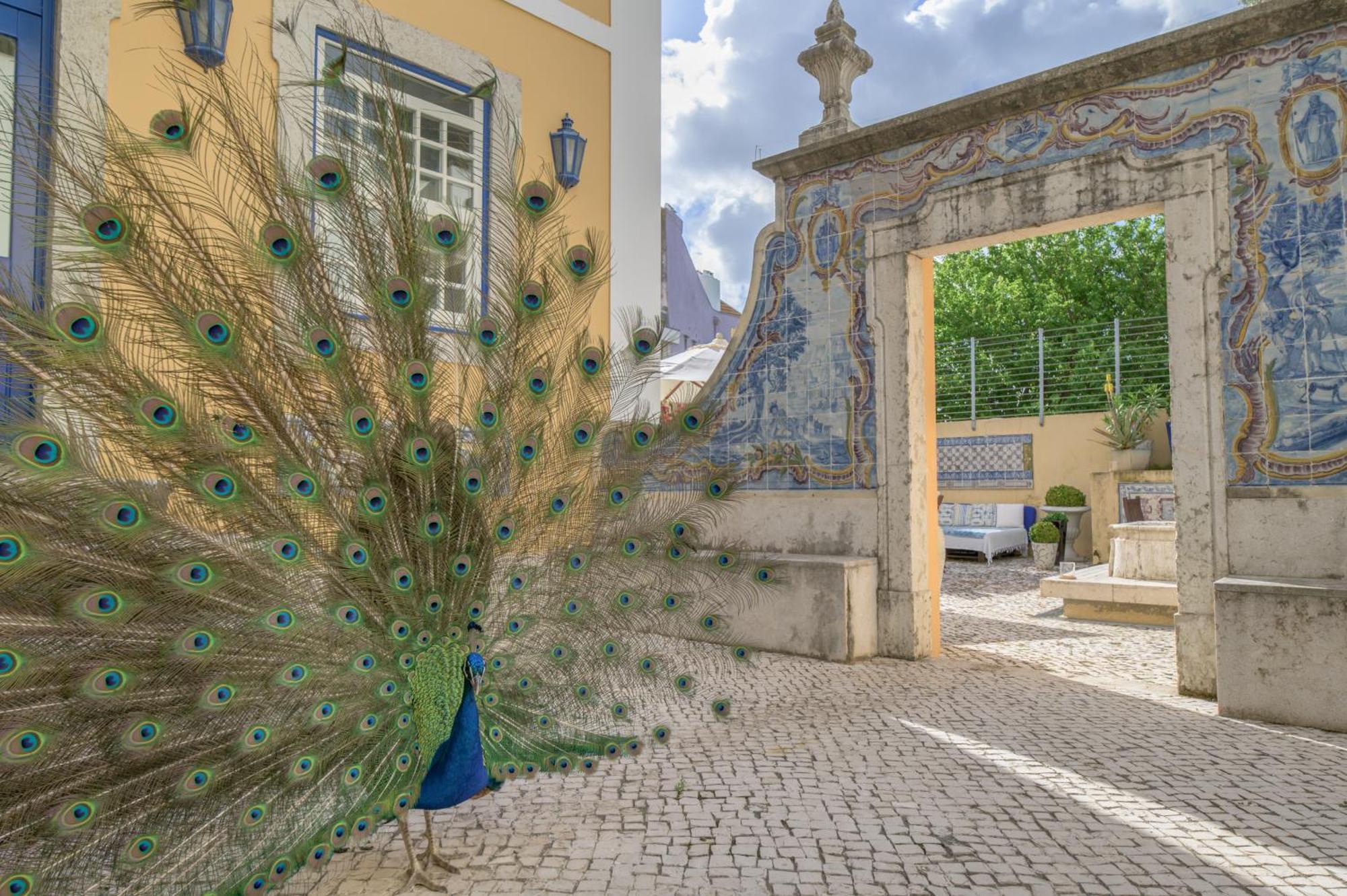 Solar Do Castelo - Lisbon Heritage Collection - Alfama Exterior photo